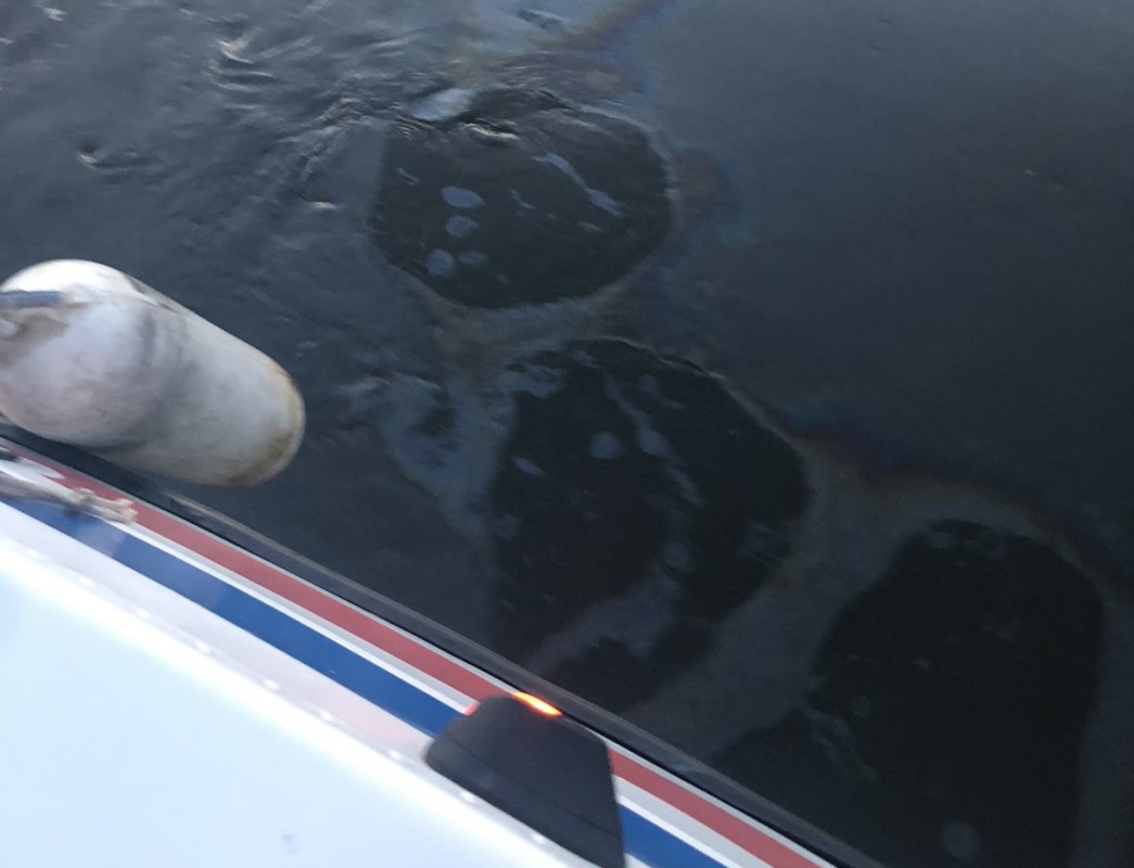 Росприроднадзор выясняет причины появления нефтяных пятен на реке Оке