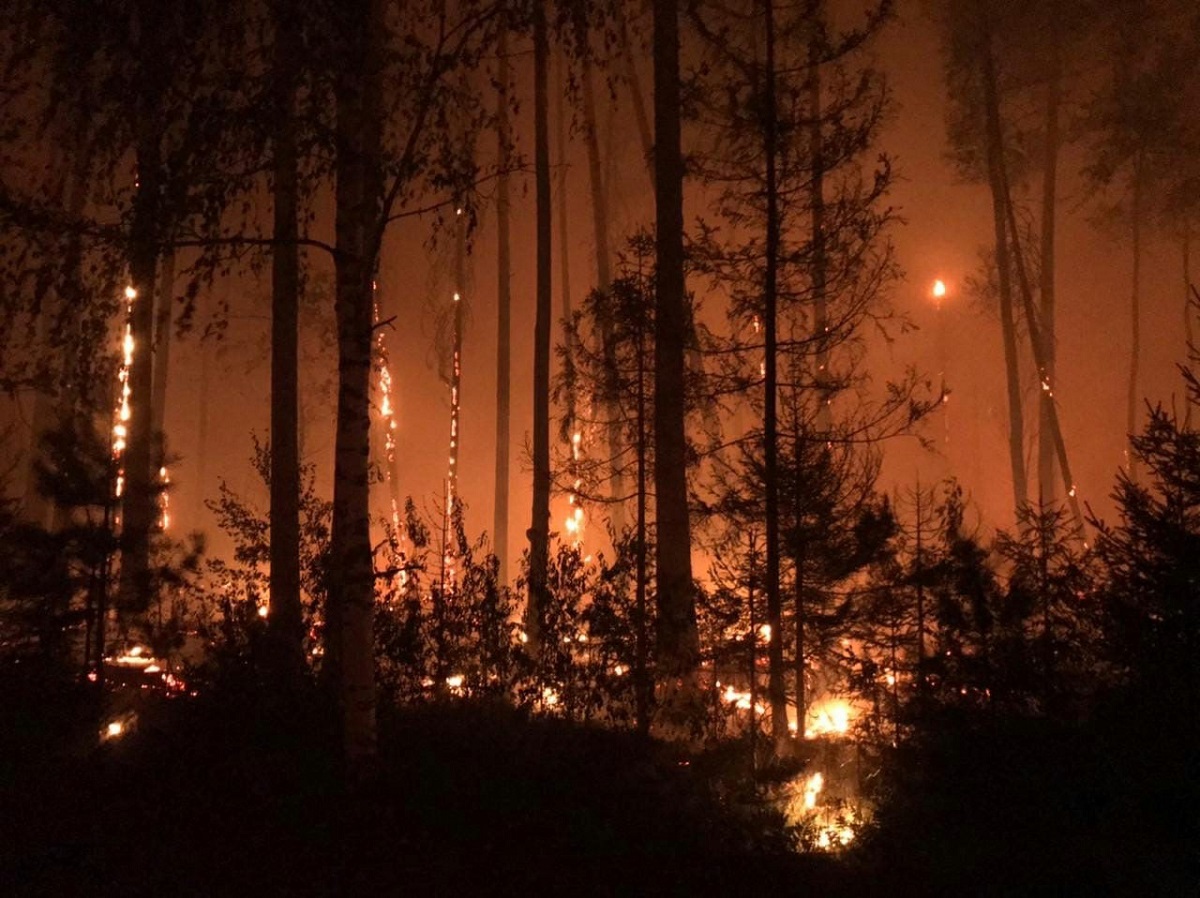 Прокуратура взяла на контроль ситуацию с пожарами в округе Первомайск и Сарове