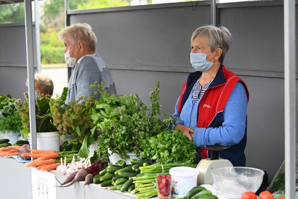 В Нижегородской области прошла первая ярмарка со сниженными ценами на овощи «борщевого набора»