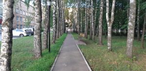 Переболевшие коронавирусом нижегородцы могут пройти реабилитацию на&nbsp;«Тропе здоровья» областной больницы имени Н.А. Семашко