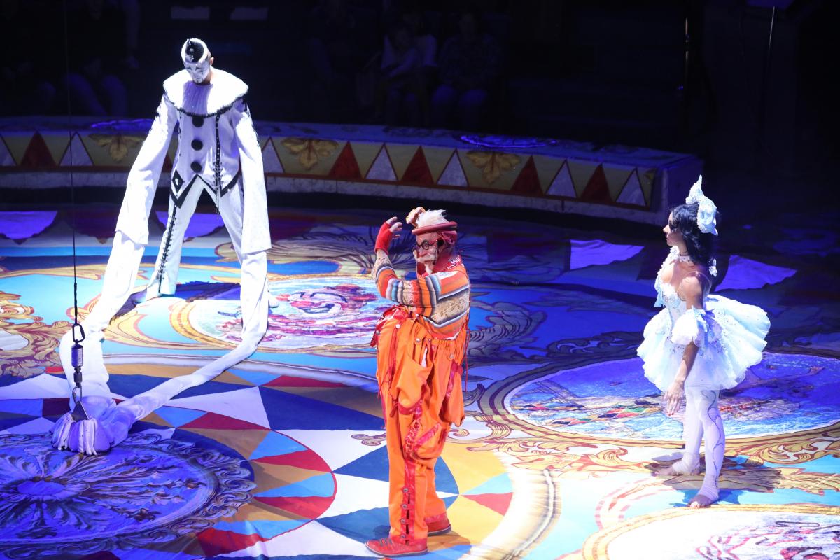 «Круглым» отличникам подарят билеты в нижегородский цирк