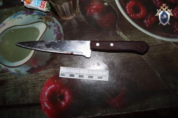 Пенсионерку подозревают в убийстве сына в Арзамасском районе