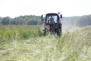 Более 60% личных подсобных хозяйств обследовано в&nbsp;Нижегородской области в&nbsp;рамках микропереписи