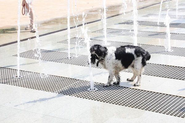 Аномальная жара до 34 градусов ожидается в Нижегородской области