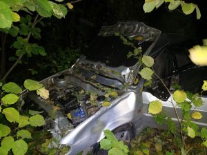 Один человек погиб и трое пострадали в ДТП с лосем в Перевозском районе