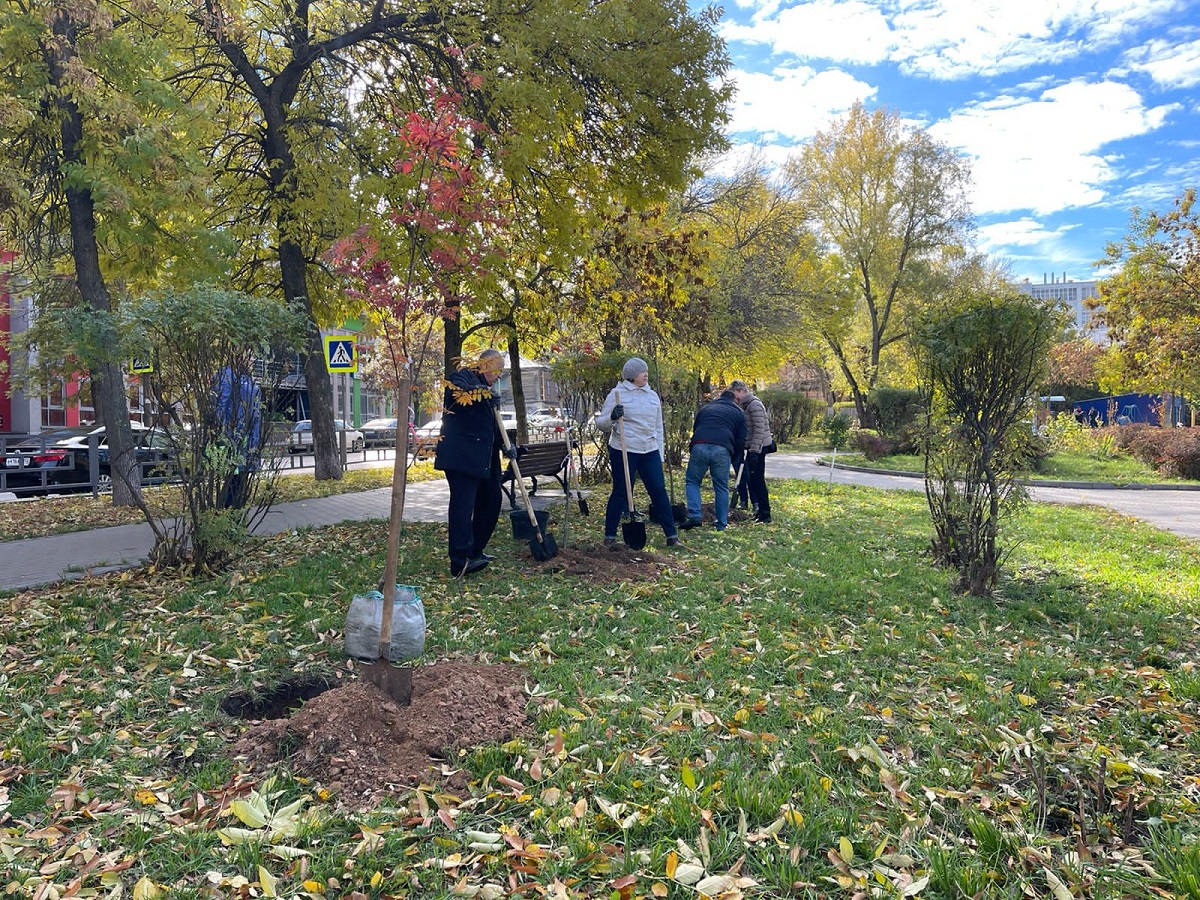 Почти десять тысяч деревьев и кустарников высадят в Нижегородском районе в 2021 году