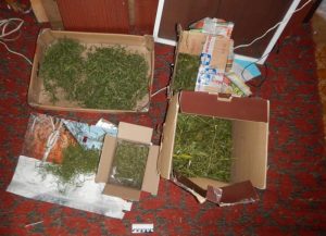 У безработного из Лысковского района обнаружили наркотики