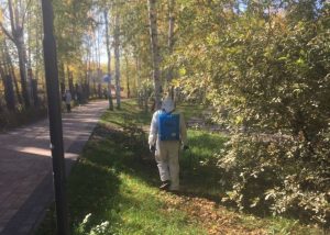 Пять нижегородских парков обработали от грызунов и клещей