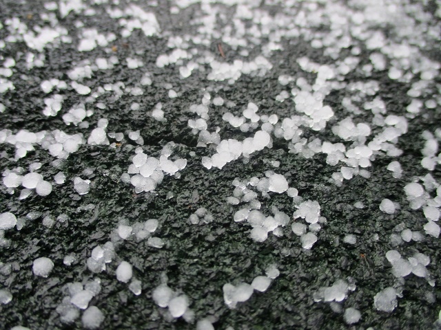Снежная крупа выпала в Керженском заповеднике