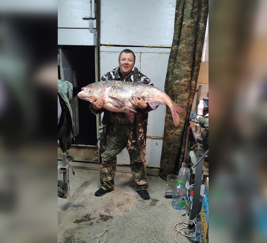«Такая рыба клюет раз в жизни»: нижегородец Денис Зверев выловил гигантского толстолобика