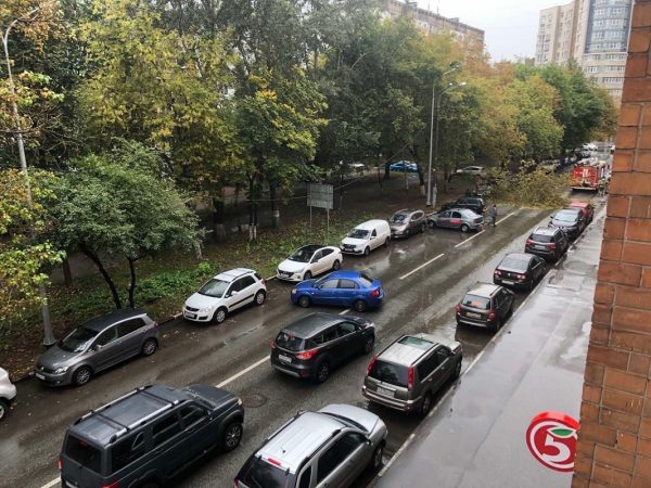 Сильная пробка образовалась на улице Горького из-за упавшего дерева