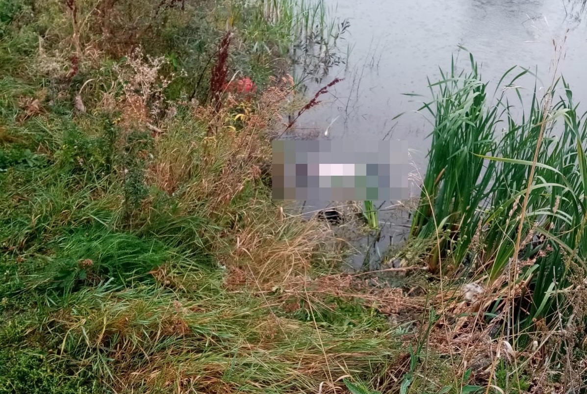 Мужчина утонул в пруду в Дивеевском районе