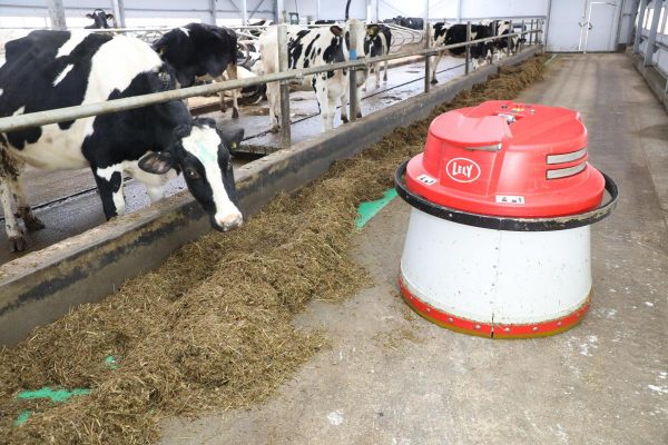 Более 1,5 млрд рублей инвестиций направят агропредприятия Нижегородской области на&nbsp;возведение животноводческих объектов в&nbsp;2021 году