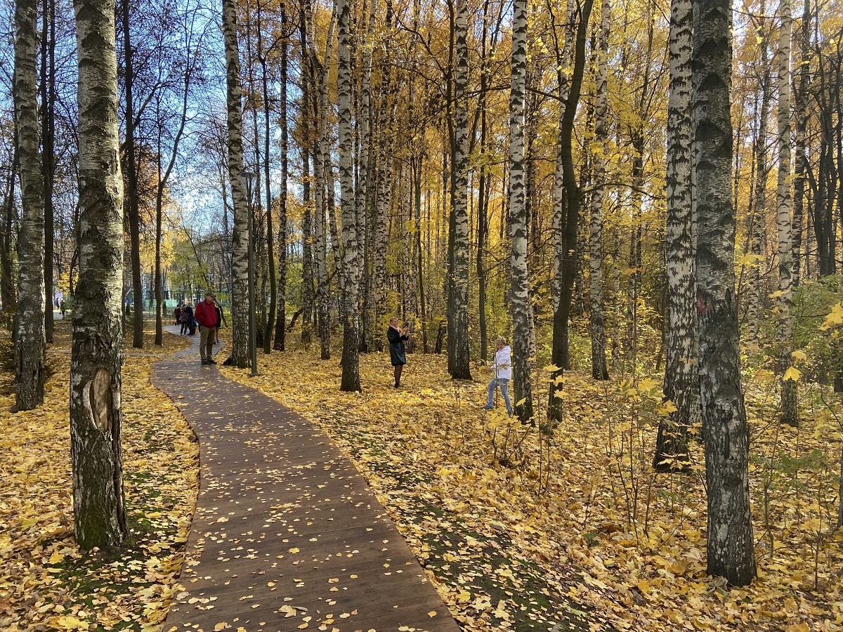 Парк «Швейцария» в Нижнем Новгороде останется открытым для посетителей в нерабочие дни