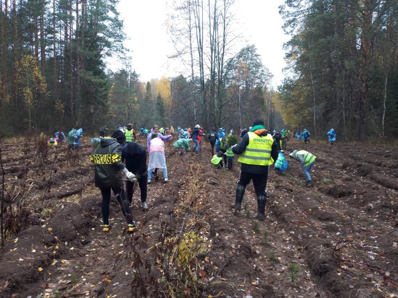 Нижегородская область вошла в пятерку лучших регионов России по итогам акции «Сохраним лес»