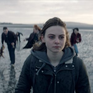 Фестиваль современного польского кино «Висла» пройдет в Нижнем Новгороде