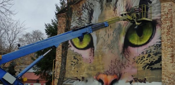 Граффити с котом появится на одном из домов в Сормовском районе