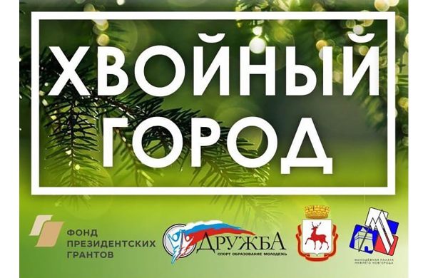В Нижнем Новгороде проходит голосование на лучший проект хвойной аллеи