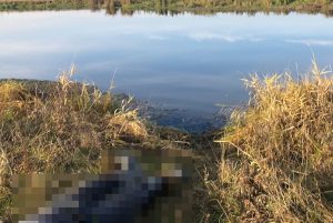 Рыбак утонул в реке Пьяна около поселка Бутурлино