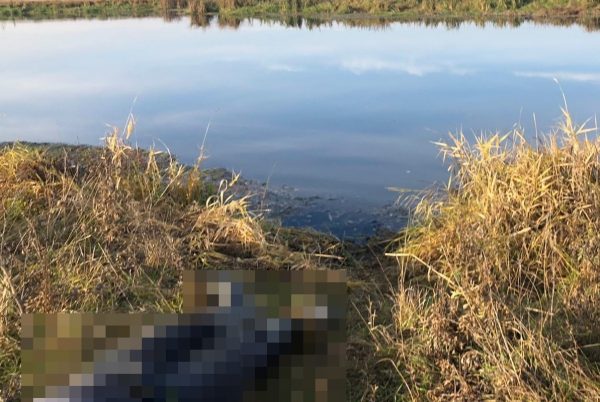 Рыбак утонул в реке Пьяна около поселка Бутурлино