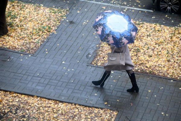 Нижегородцев ждут ветреные и дождливые выходные