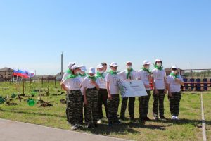 В&nbsp;Нижегородской области создано четыре новых школьных лесничества