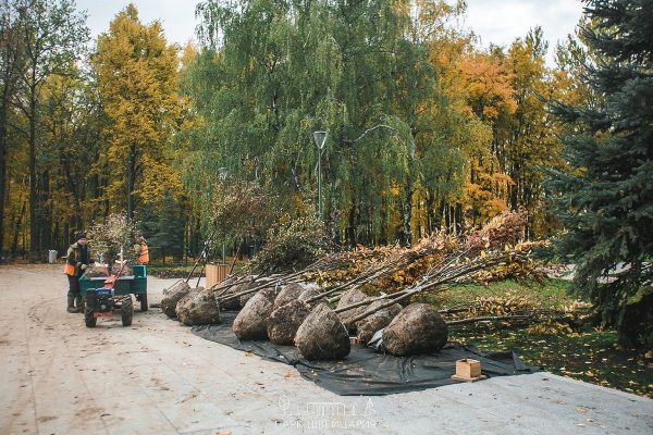 Последний этап озеленения в нижегородском парке «Швейцария» завершится в середине октября