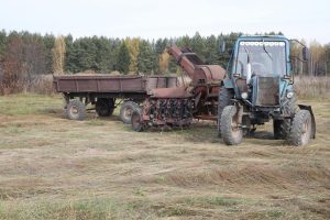 Общий сбор: нижегородские аграрии подсчитывают ущерб от потери урожая