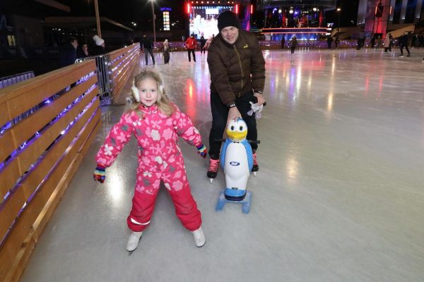 Каток в нижегородском парке «Швейцария» планируют залить этой&nbsp;зимой