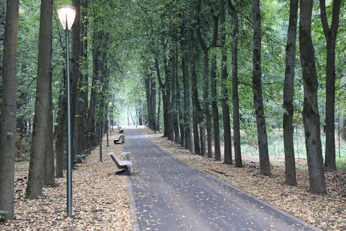В нижегородских парках пройдет серия квестов по поиску QR-кодов в ноябре