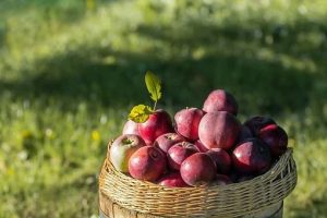 Приметы на 8 августа: что можно и чего нельзя делать в этот&nbsp;день