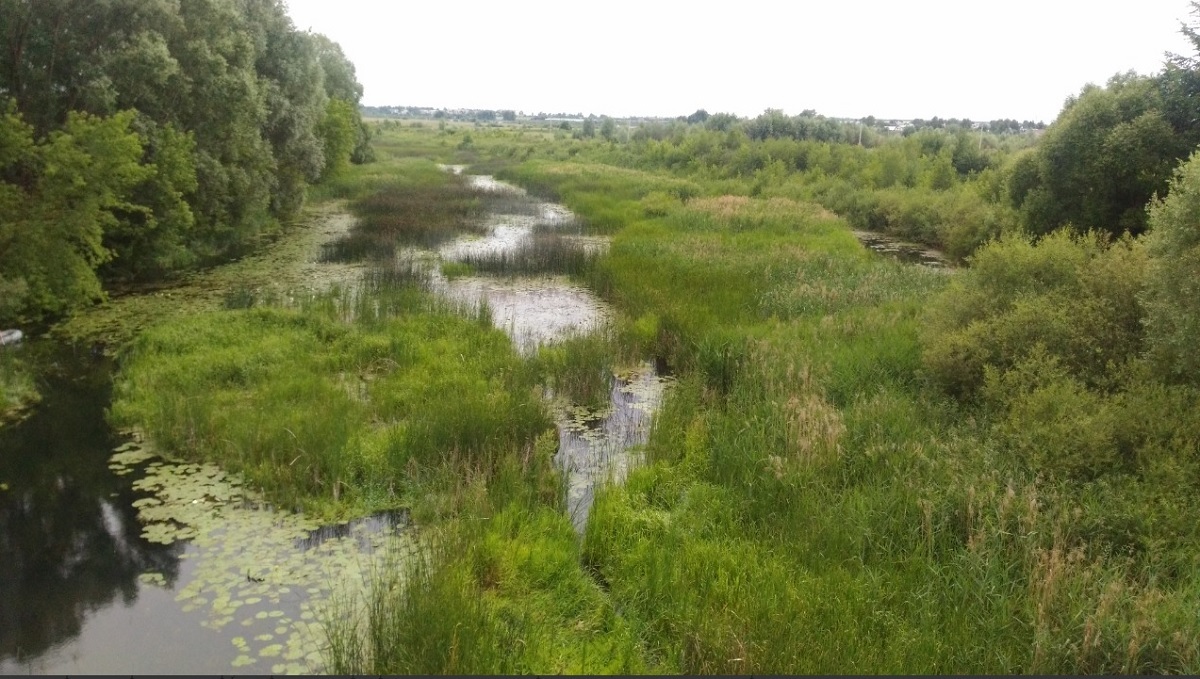 Благодаря расчистке русел рек Сатис, Теши и Вичкинзы качество жизни улучшилось более чем у 200 тысяч нижегородцев