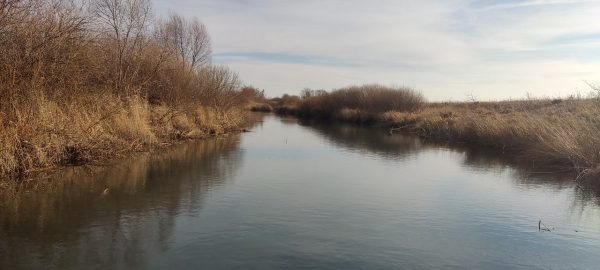 Почти 100 жалоб на нарушения водоохранного законодательства рассмотрело Минэкологии Нижегородской области в 2021 году