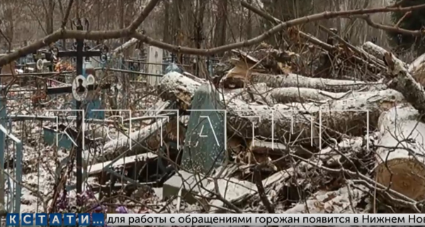 >Комунальщики спилили деревья и повредили могилы на кладбище в Воскресенском районе