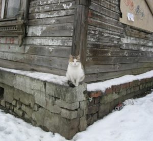 Первый проект комплексного развития территорий стартует в Ленинском районе Нижнего Новгорода