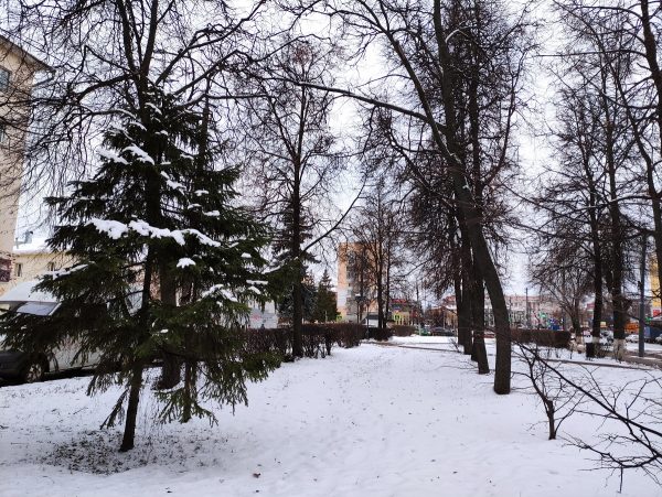 Сормовский сквер Автомобилистов теперь носит имя конструктора Валерия Иконникова