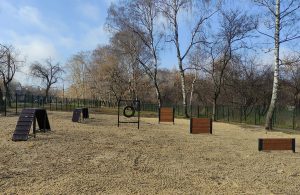 Три площадки для собак открылись в этом году в Сормове