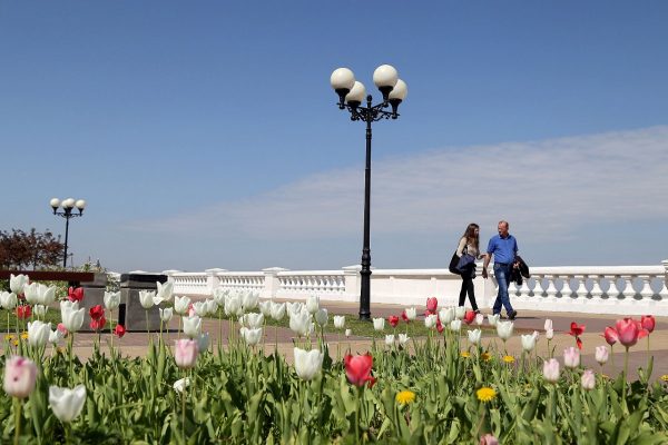 Почти 2 тысячи квадратных метров цветников с тюльпанами появится в Нижнем Новгороде