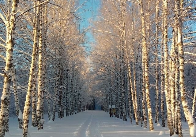 Специальный поезд в январские каникулы увезет туристов в гости к Морозко