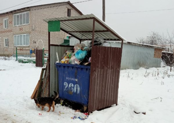 >Жители Краснобаковского района оказались в мусорном плену