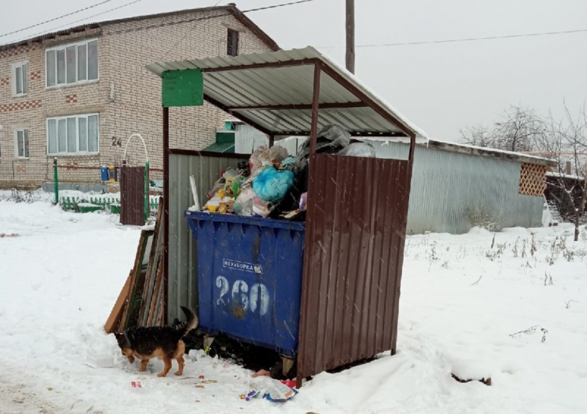 Жители Краснобаковского района оказались в мусорном плену