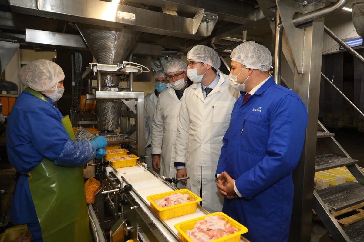 Реализация инвестиционного проекта по наращиванию производства мяса птицы началась в Нижегородской области