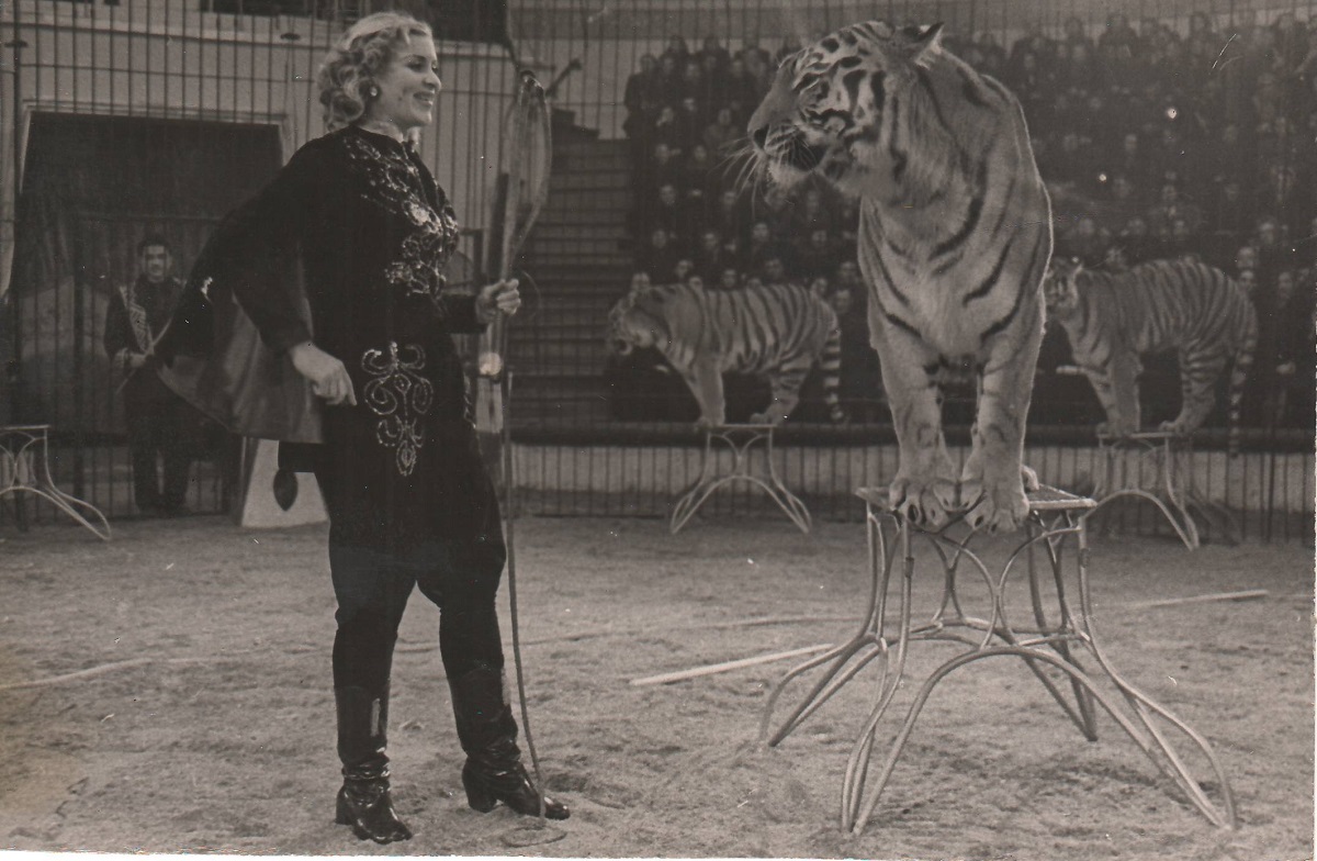 На съёмках «Укротительницы тигров» Назарова впервые вошла в клетку с тиграми одна