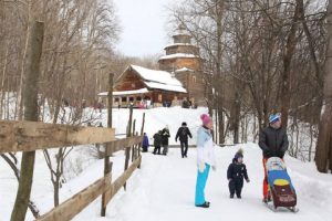 Земельный участок в районе деревни Кузнечиха будет использоваться архитектурно-этнографическим музеем-заповедником «Щелоковский хутор»