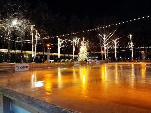 Стала известна стоимость посещения катков в нижегородском парке «Швейцария»