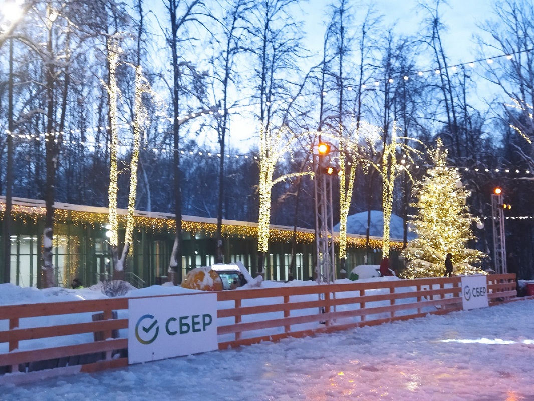 Нижегородцев не пустили на каток в нижегородском парке «Швейцария» из-за снегопада