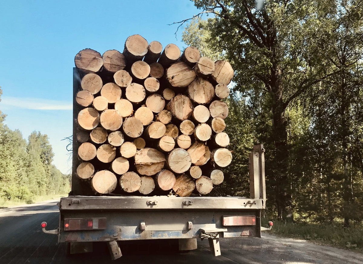 С 1 января для транспортировки древесины понадобится QR-код