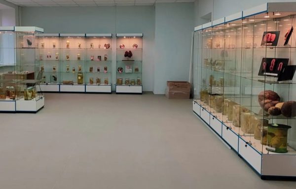 Гигантские опухоли и микроскоп Сенюткина: что можно увидеть в Музее кафедры патологической анатомии