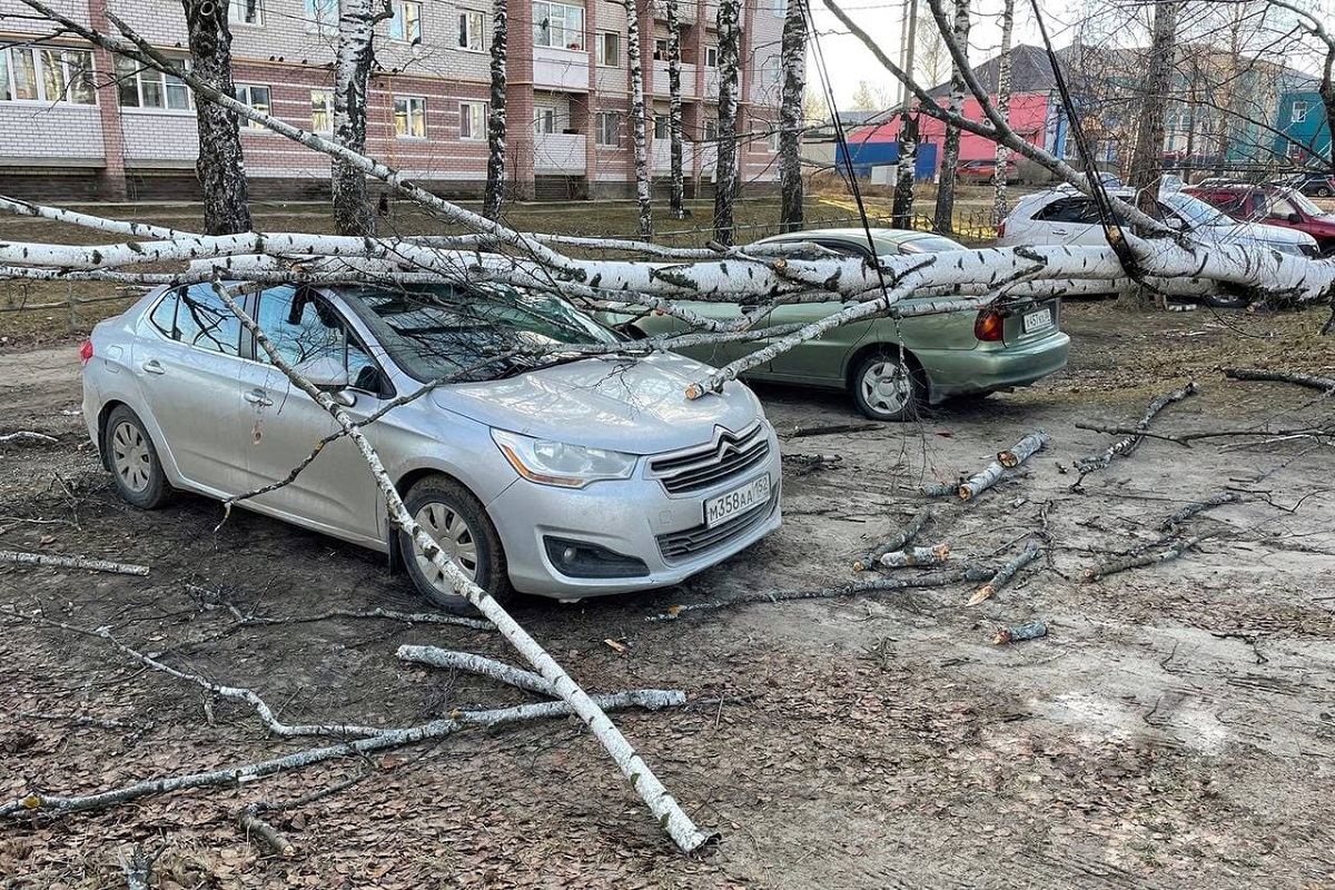 Наибольший ущерб непогода принесла владельцам машин