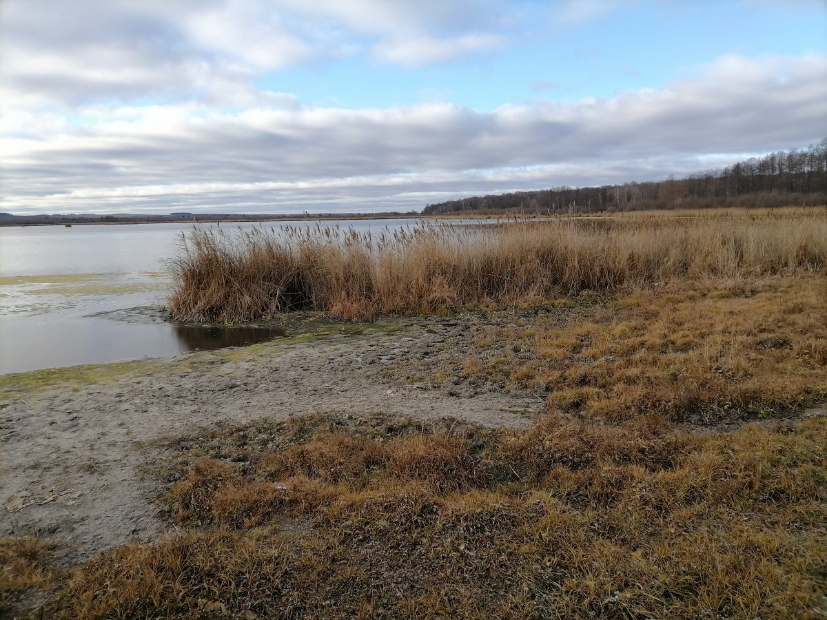 Ученые РАН присоединились к разработке проекта оздоровления реки Пьяны в Нижегородской области